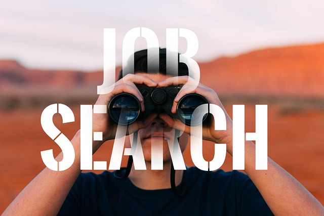 Journal d'Apprentissage - Recherche d'Emploi